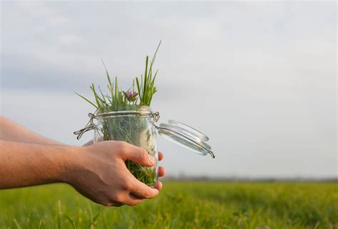 Earth Day I Nostri Consigli Per Una Vita Sostenibile Meglio In Vetro