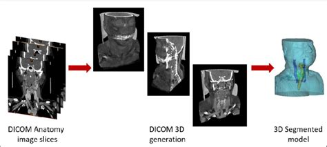 Representation Of The Dicom Anatomy Imaging Slices Illustrating The Download Scientific