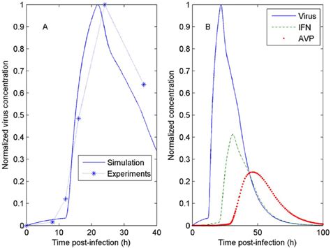 Comparison Between The Numerical Simulation And The Experimental Download Scientific Diagram