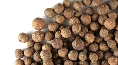 Allspice - Berries, Uses - Allspice Medicinal Health Benefits