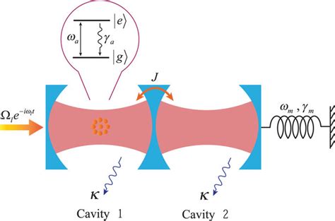 Schematic Illustration Of The Coupled Optomechanical System Including