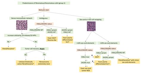 Cancers Free Full Text Relevance Of Molecular Pathology For The