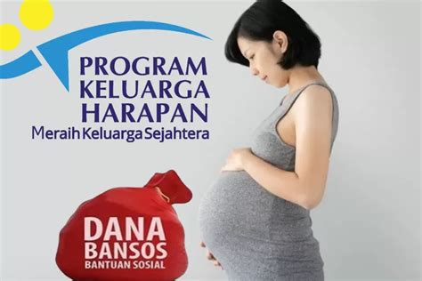 Bansos Pkh Untuk Ibu Hamil Dan Balita Periode Juli Agustus Sudah