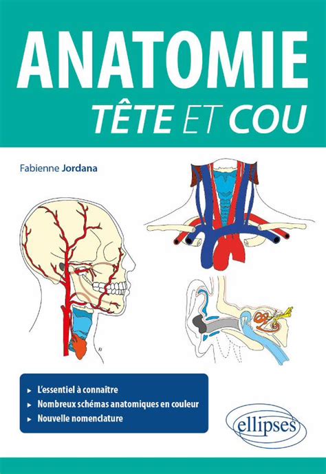 Pdf Anatomie Tête Et Cou Dokumentips