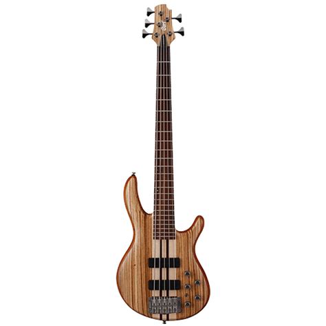 Custom 5 String Bass Guitars