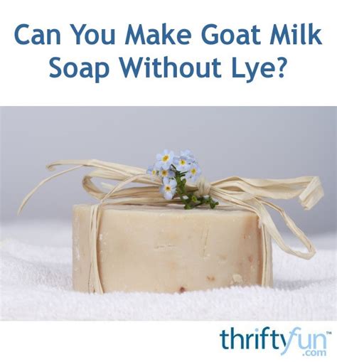 Goat Milk Soap Recipe No Lye Dandk Organizer