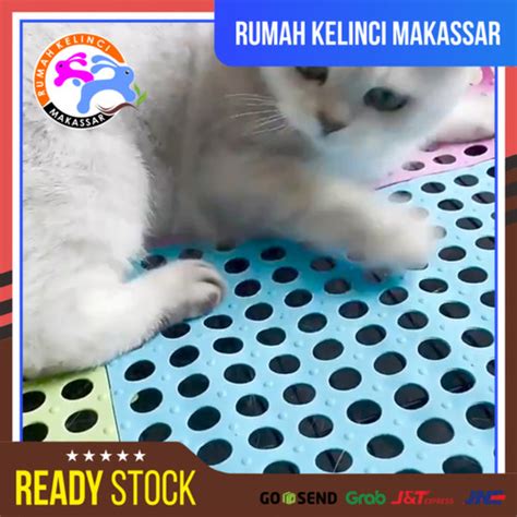 Jual Alas Kandang Kucing Kelinci Footrest Kelinci Fotres Ukuran X