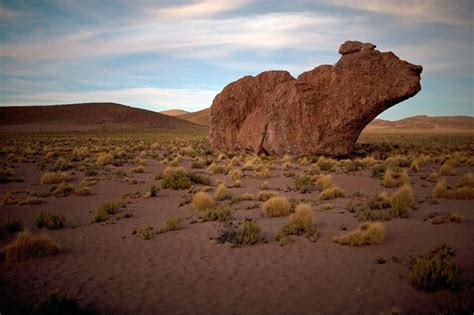 Luca Zanetti Photographer Reportage South American