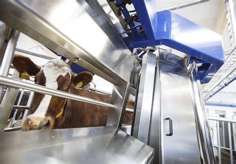 Michigan Farm Will Be Largest Robotic Dairy In North America Agdaily