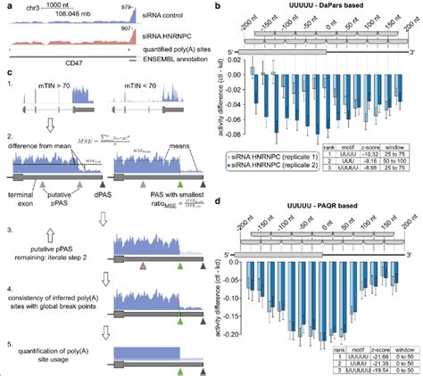 Overview Of Paqr A Read Coverage Profile Of The Cd Terminal Exon