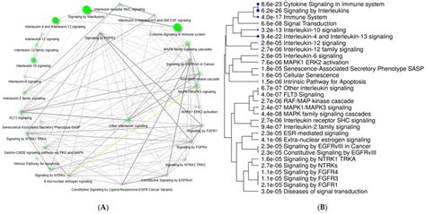 A Pathway Enrichment With Crosstalk Between Identified Pathways B