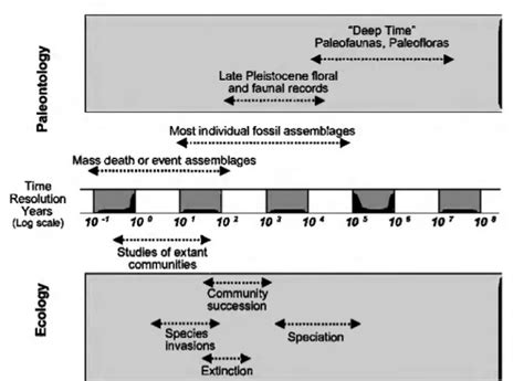 Assemblages Evidence From The Fossil Record