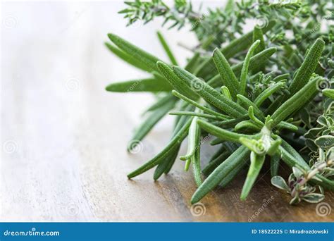 Thyme And Rosemary Stock Image Image Of Closeup White 18522225