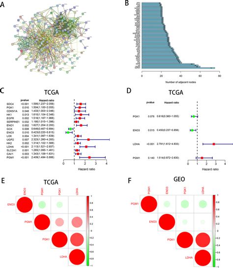 Characterization Of Hypoxia Risk Score To Predict Prognosis Of Pac A