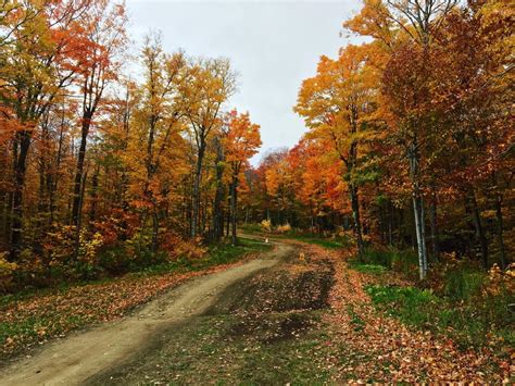 Fall Foliage. Killington, Vermont. [4031x3024][OC] : EarthPorn