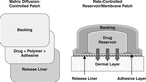 Transdermal Delivery Of Drugs For Urologic Applications Basic