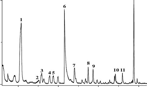 Gc Chromatogram Of Headspace Volatiles Of Daw Dam And Payaluemkang Rice