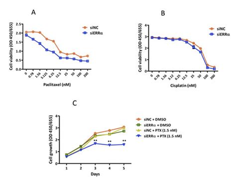 Anti Tumor Effect Of Estrogen Related Receptor Alpha Knockdown On