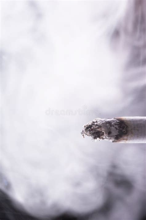 burning cigarette stock photo image  cigarillos black