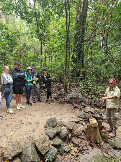 Mossman Gorge Daintree Rainforest Aboriginal Fishing Tour Getyourguide