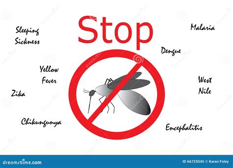 Stop Mosquito Borne Diseases Stock Vector Image 66725045