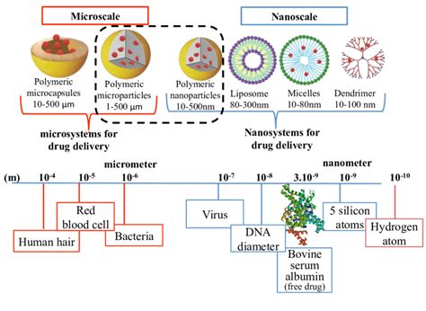 Microparticles And Nanosystems For Drug Delivery A Comparison To Scale