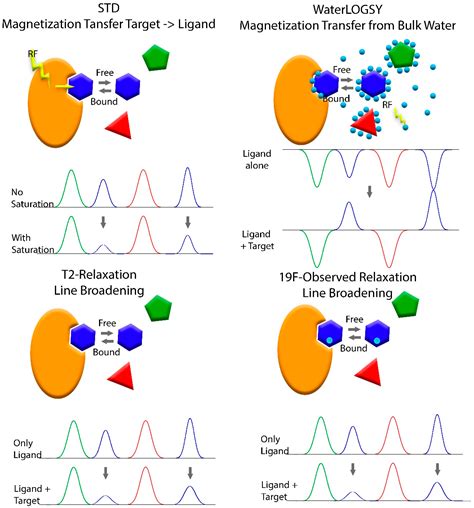 Molecules Free Full Text Nmr Fragment Based Virtual Screening A