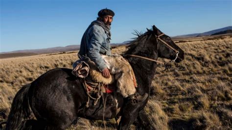 D A Nacional Del Gaucho Por Qu Se Celebra Hoy El Diario De Carlos Paz