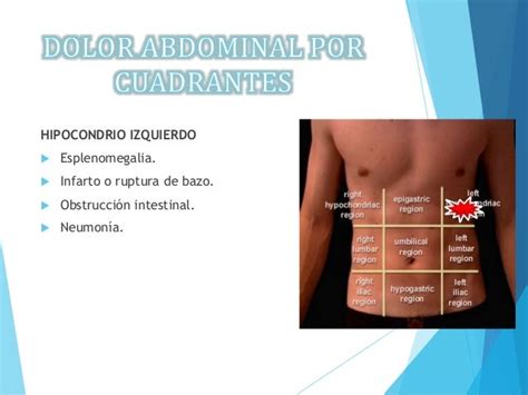 Dolor Abdominal Causas En El Lado Izquierdo