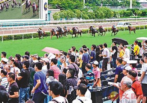 香港赛马会年度投注额2165亿港元 回馈香港305亿手机新浪网