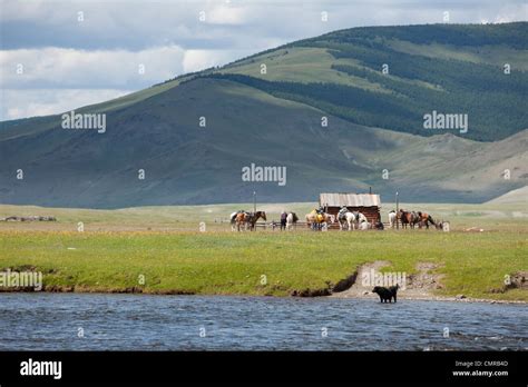 Landscape Of Mongolian River Mongolia Stock Photo Alamy