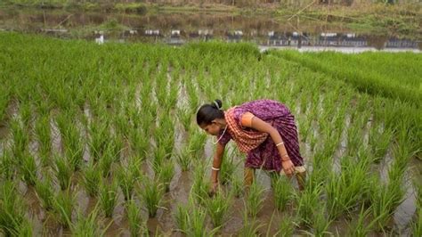 Morning Brief Uneven Monsoon Hits Kharif Sowing And All The Latest