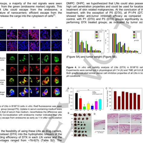 A B In Vivo Anti Tumor Efficacy Of LNs As Depicted By Tumor Weight