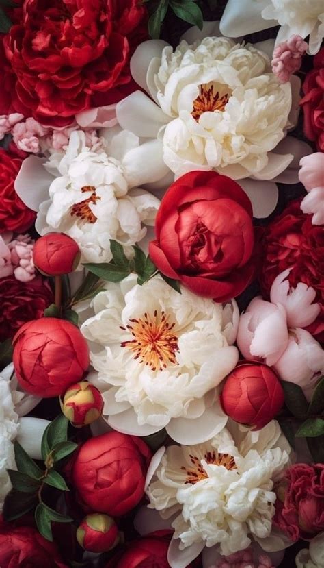 Pin By Kelly Micke On More Flowers Flower Iphone Wallpaper Beautiful