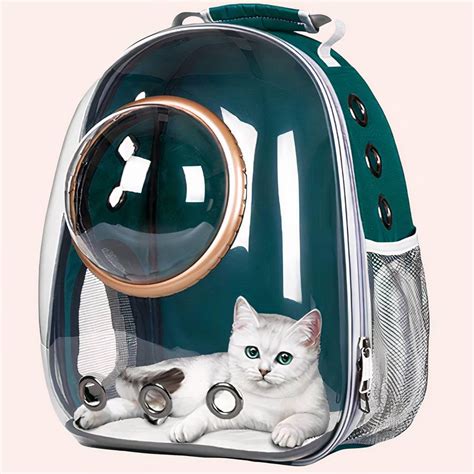 Sac Dos Transparent Pour Chat Et Chaton De Voyage Avec Petit Hublot