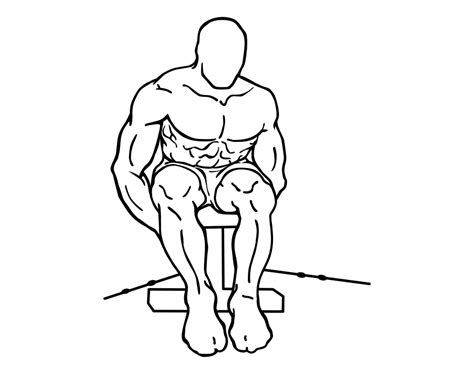 Seated Rear Lateral Cable Raise Large 2 Marvinsfitnessblog