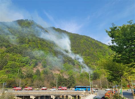 태백지역 초교 뒷산서 불인력 30명 투입 진화 중 연합뉴스