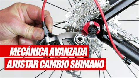 Cambio Bicicleta De Carretera Por Bicicleta De Monta A Consejos