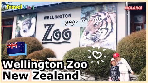 🇳🇿 Wellington Zoo With Animals New Zealand 웰링턴 동물원 Youtube