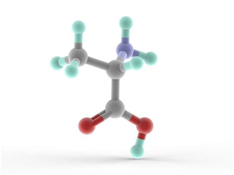 Aliphatic Amino Acid Definition