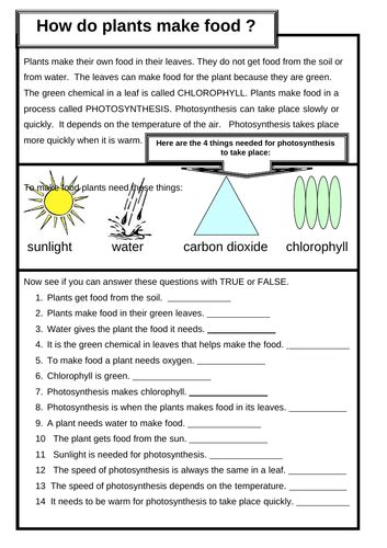 Energy In Living Organisms Teaching Resources