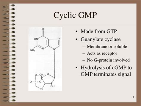 Ppt Second Messengers And Signal Transduction Powerpoint Presentation