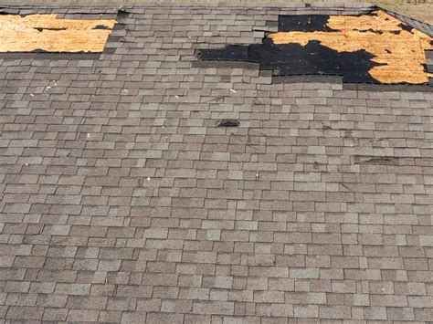 Avoid These Common Asphalt Shingle Maintenance Mistakes