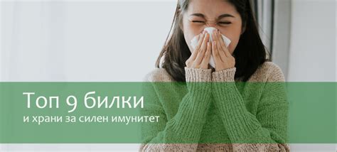 Топ 9 билки и храни за силен имунитет