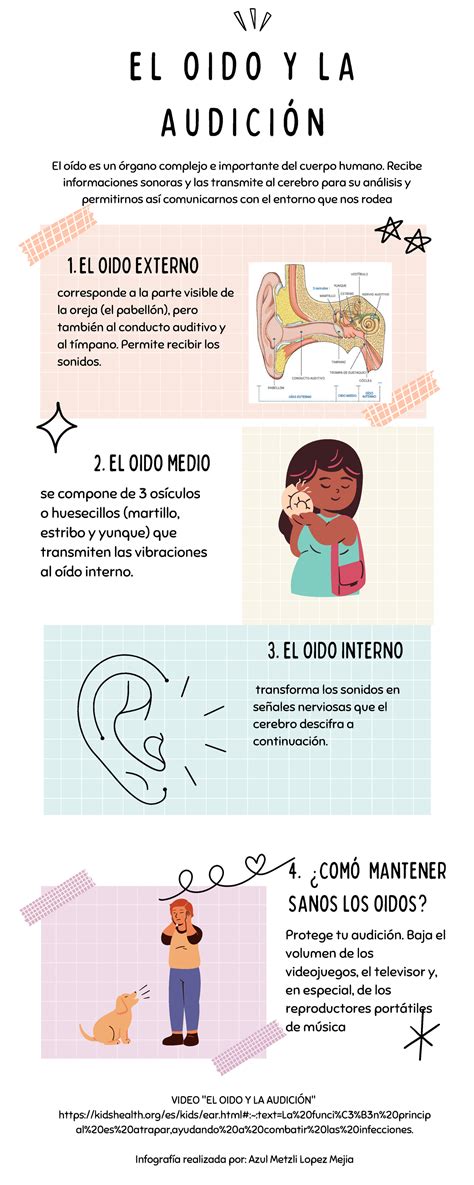 El oido y la audicion infografía de edición de audio E L O I D O Y