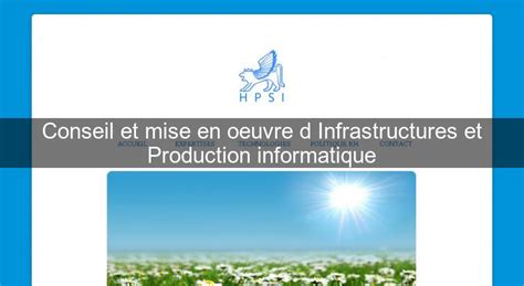 Conseil Et Mise En Oeuvre Dinfrastructures Et Production Informatique Ssii