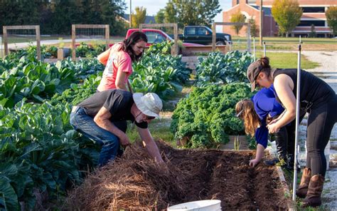 News Auburn University College Of Agriculture