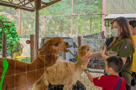 The Bentong Farm Admission Ticket Dahcuti