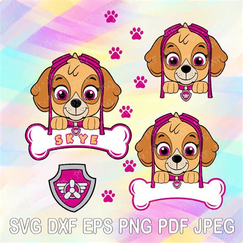 Free 1st Birthday Paw Patrol Skye Svg Pattern Drocali