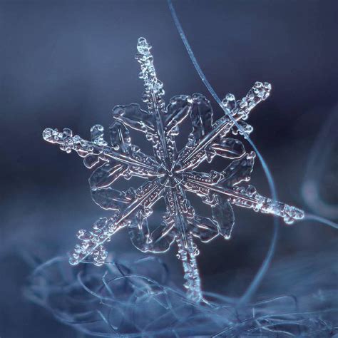 A Snowflake Is Shown In This Image